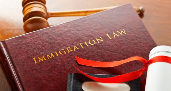 Immigration lawyer